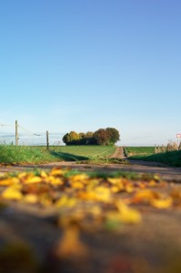 20121019_002 - Kopie         